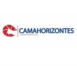 Logotipo de empresa cliente de SSODIZ